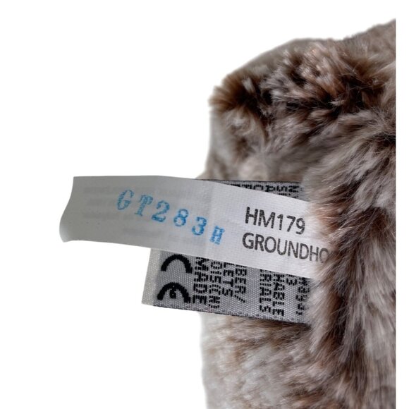 Ganz Webkinz Brown Groundhog HM179 No Code Plush Stuffed Animal - Picture 6 of 10